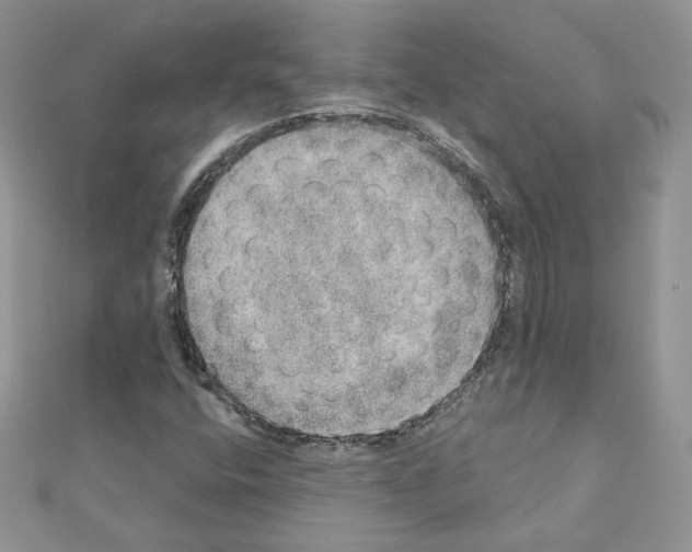 X0000110981400200907310940