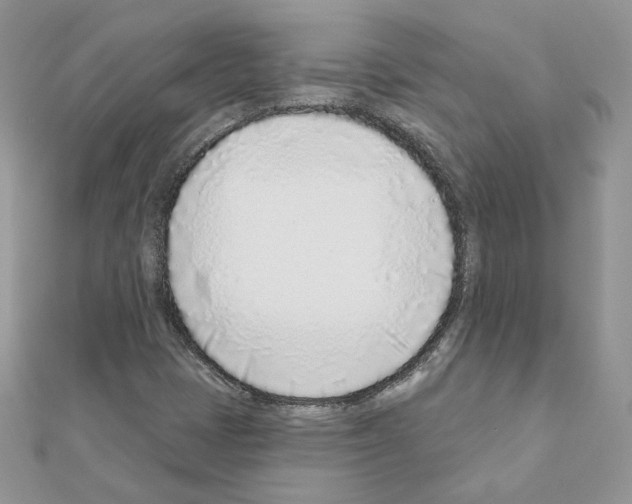X0000110981401200907310940