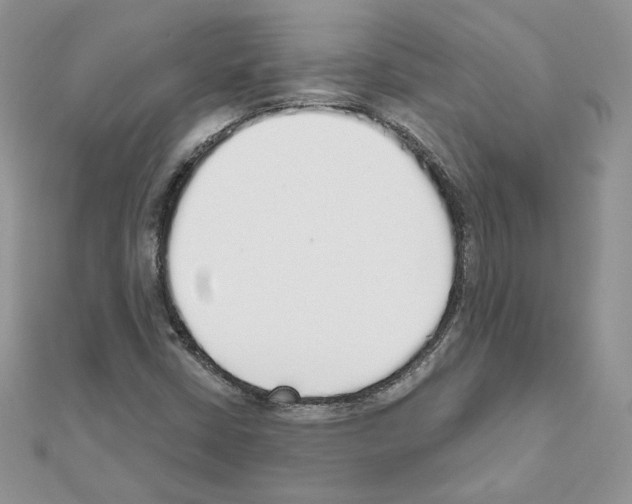 X0000110981402200907310940