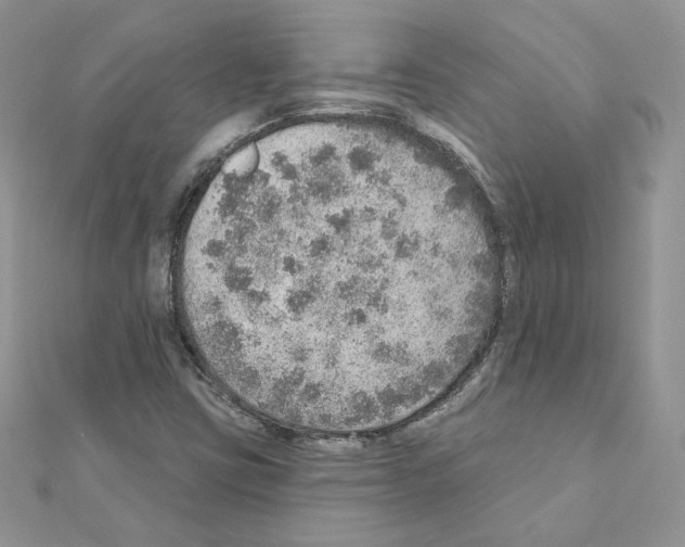 X0000110981403200907310940