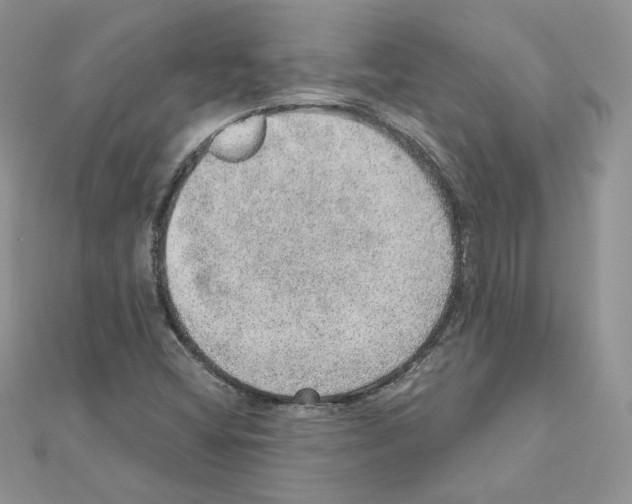 X0000110981404200907310940