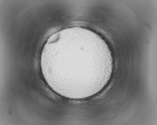 X0000110981405200907310940