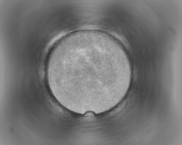 X0000110981406200907310940