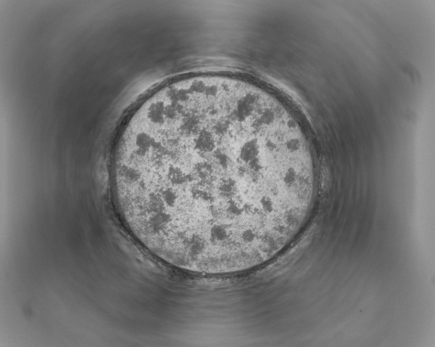 X0000110981407200907310940