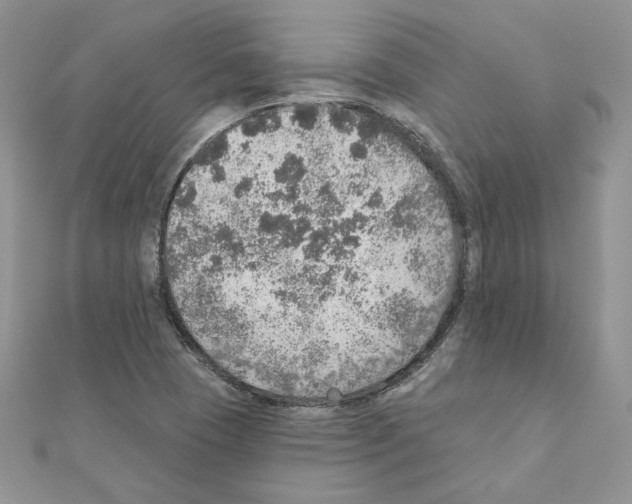 X0000110981409200907310940