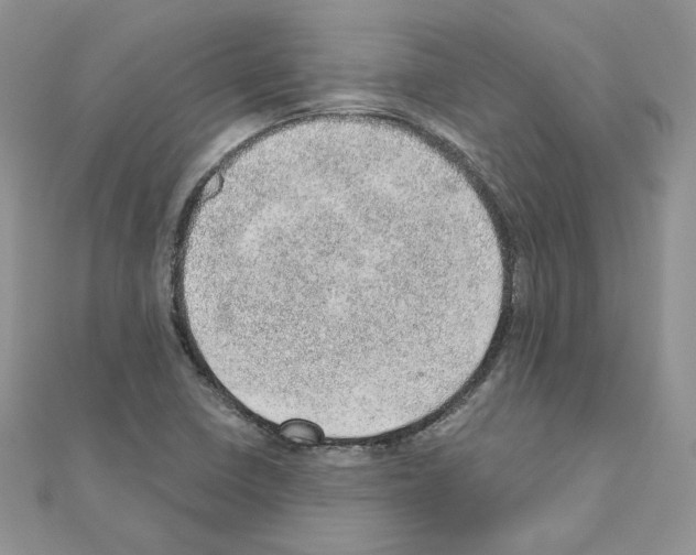 X0000110981410200907310940