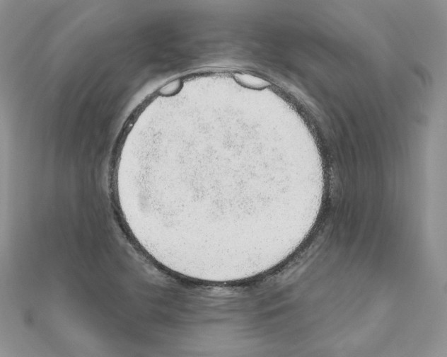 X0000110981412200907310940