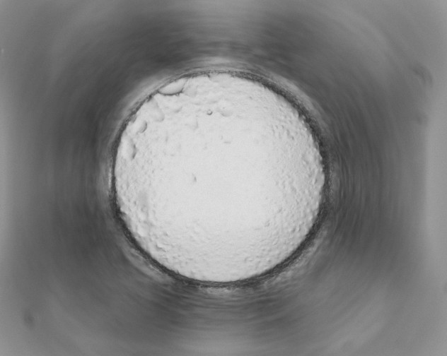 X0000110981413200907310940