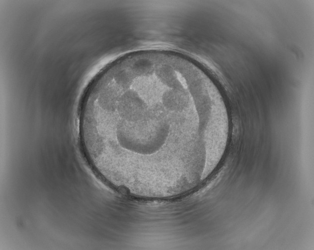 X0000110981414200907310940