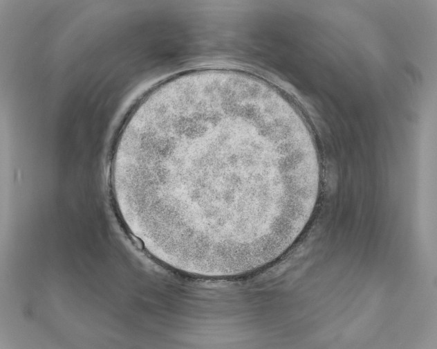 X0000110981416200907310940