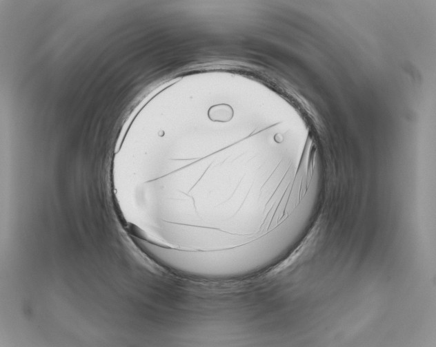 X0000110981417200907310940