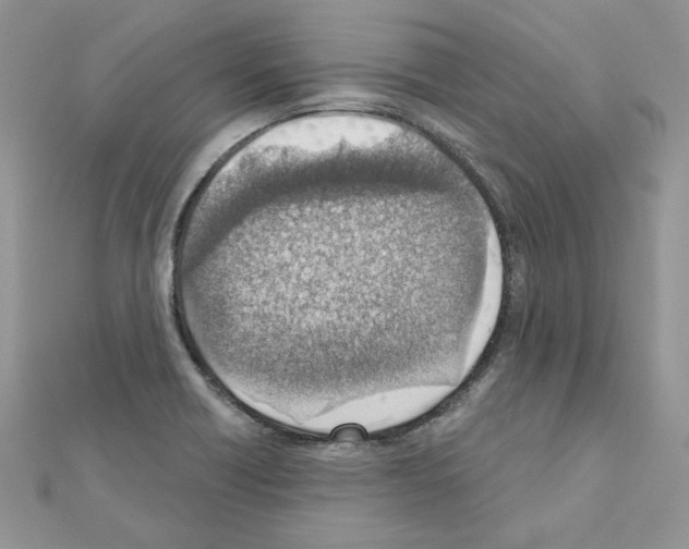 X0000110981418200907310940