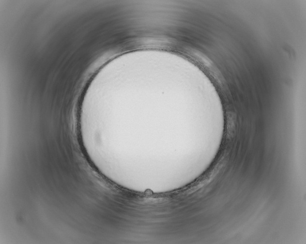 X0000110981419200907310940