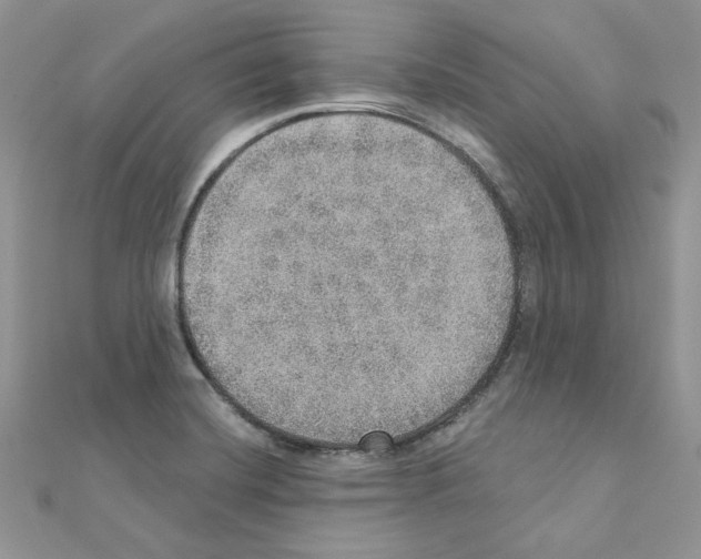 X0000110981420200907310940