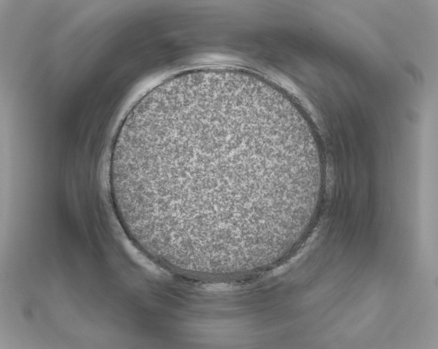 X0000110981421200907310940