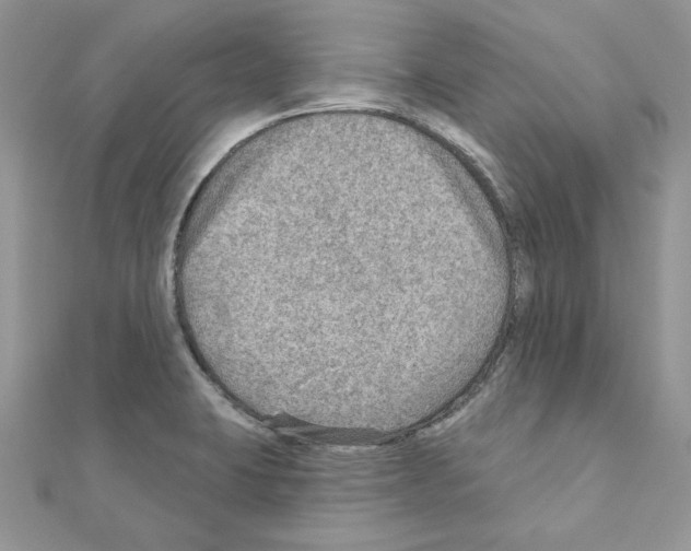 X0000110981423200907310940