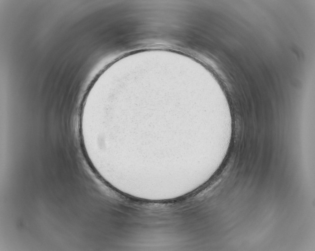 X0000110981424200907310940