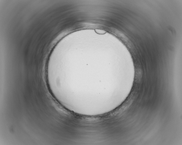 X0000110981427200907310940