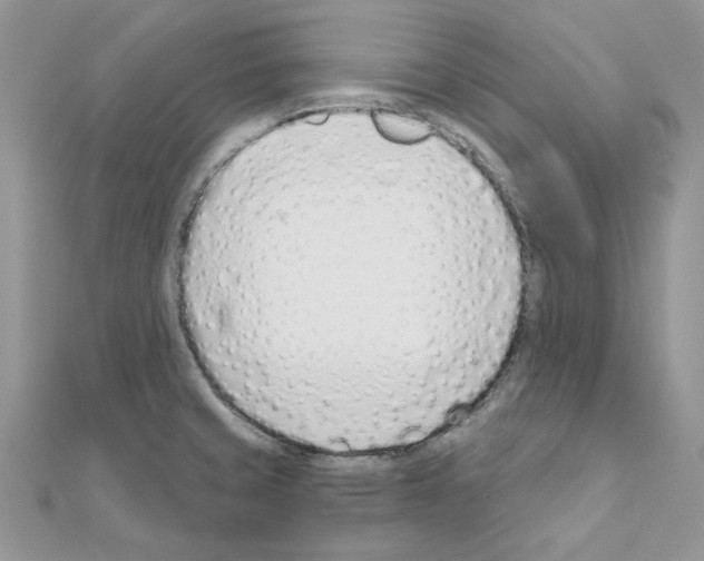 X0000110981429200907310940