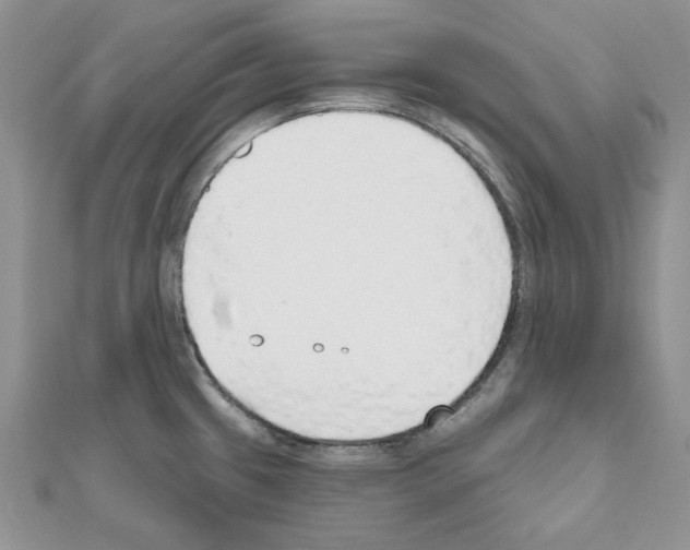 X0000110981433200907310940