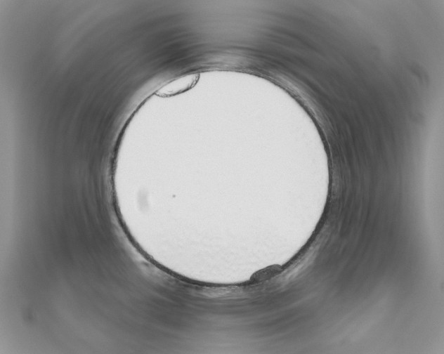 X0000110981434200907310940