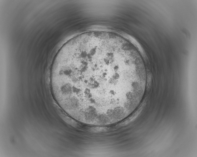 X0000110981435200907310940