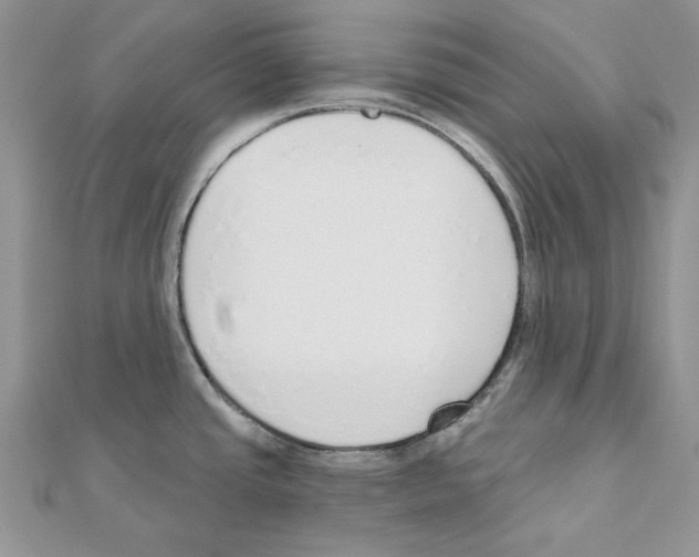 X0000110981437200907310940