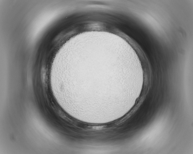X0000110981438200907310940