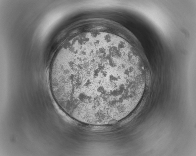X0000110981439200907310940