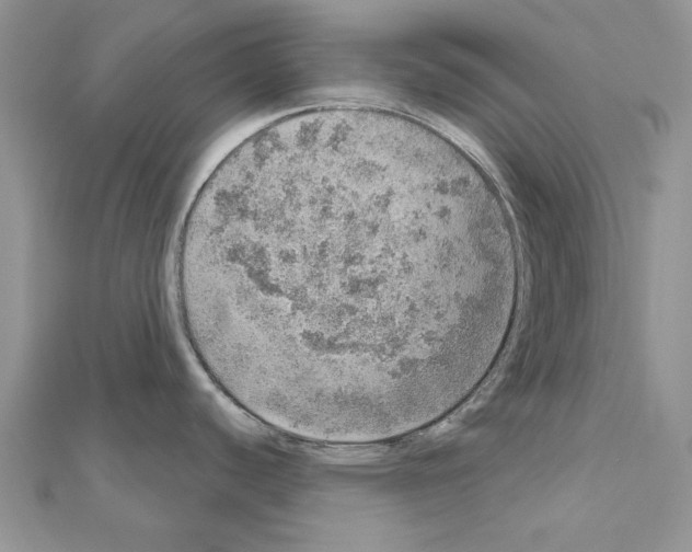 X0000110981440200907310940