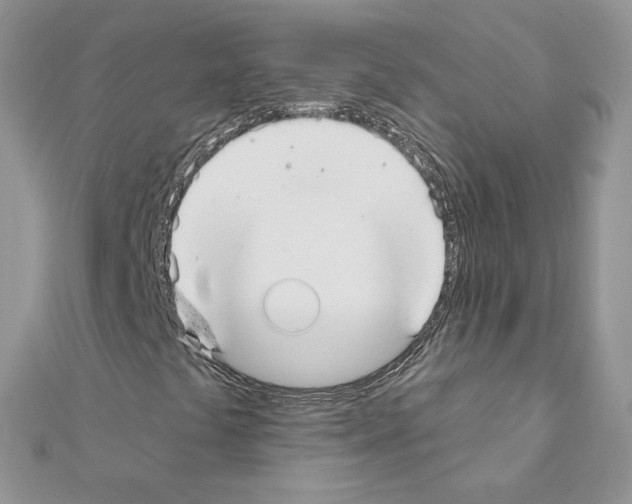 X0000110981441200907310940