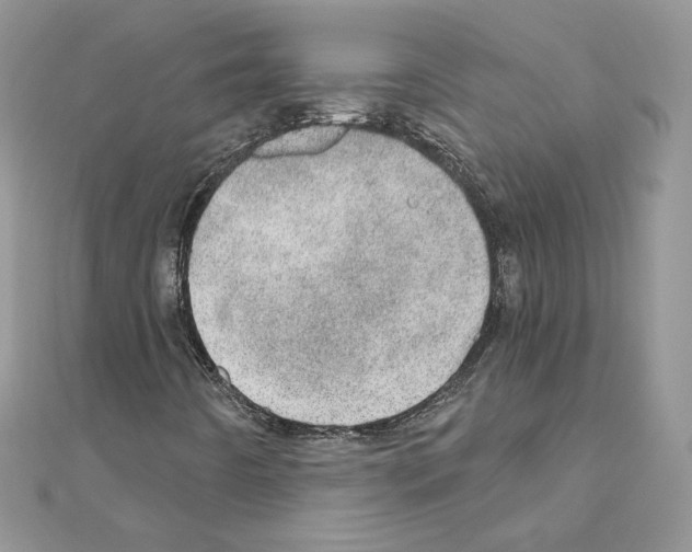 X0000110981442200907310940