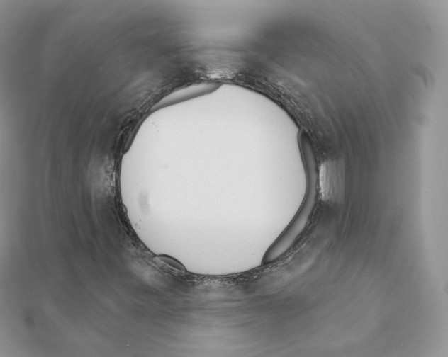 X0000110981443200907310940