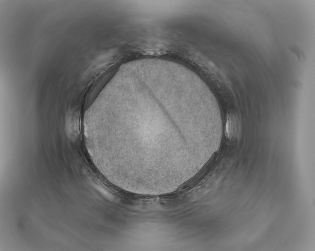 X0000110981444200907310940
