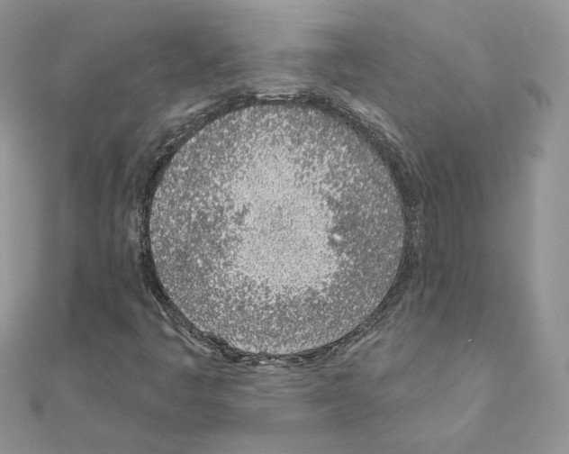 X0000110981445200907310940