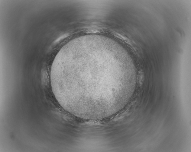 X0000110981446200907310940