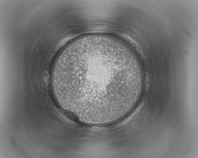 X0000110981449200907310940