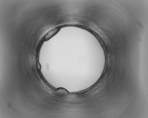 X0000110981452200907310940