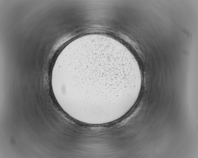 X0000110981453200907310940