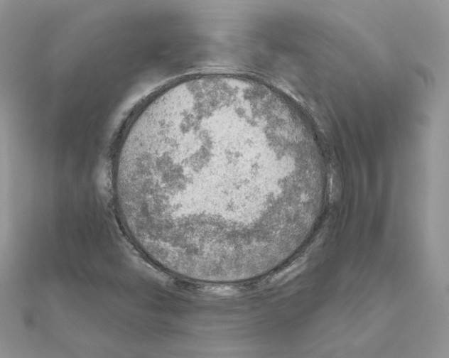 X0000110981454200907310940