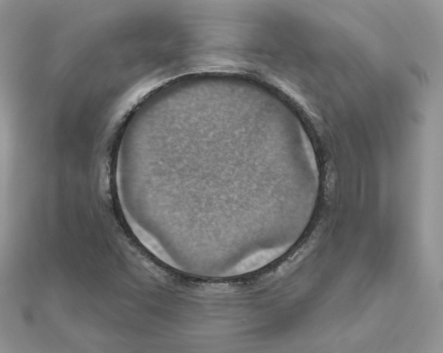 X0000110981455200907310940