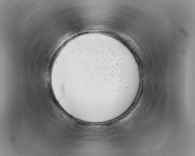 X0000110981457200907310940