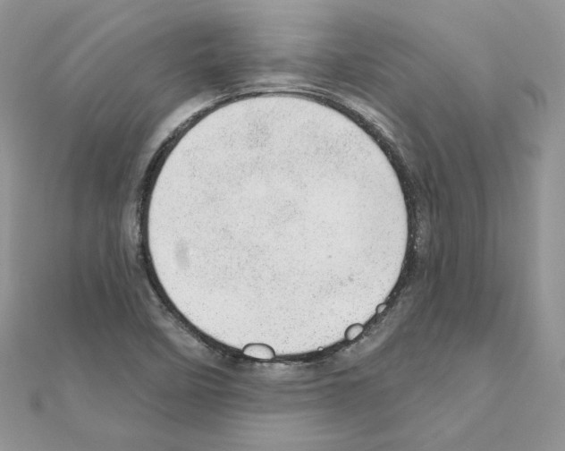 X0000110981458200907310940
