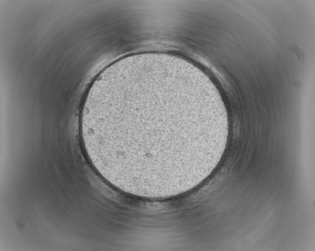 X0000110981459200907310940