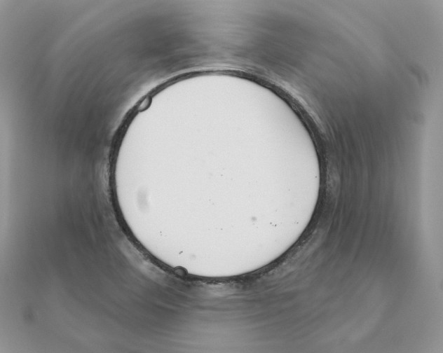 X0000110981460200907310940