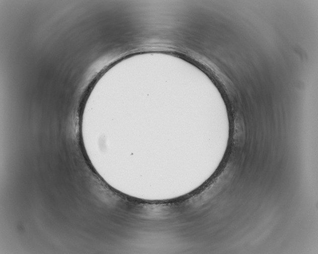 X0000110981461200907310940