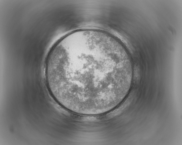X0000110981462200907310940