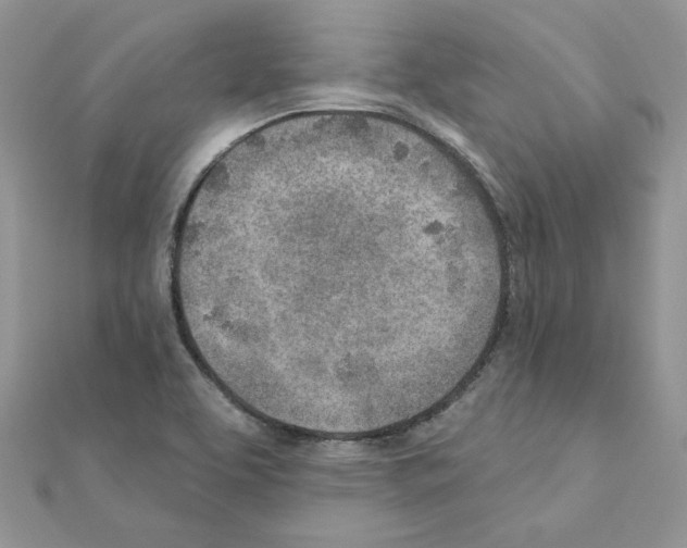 X0000110981463200907310940