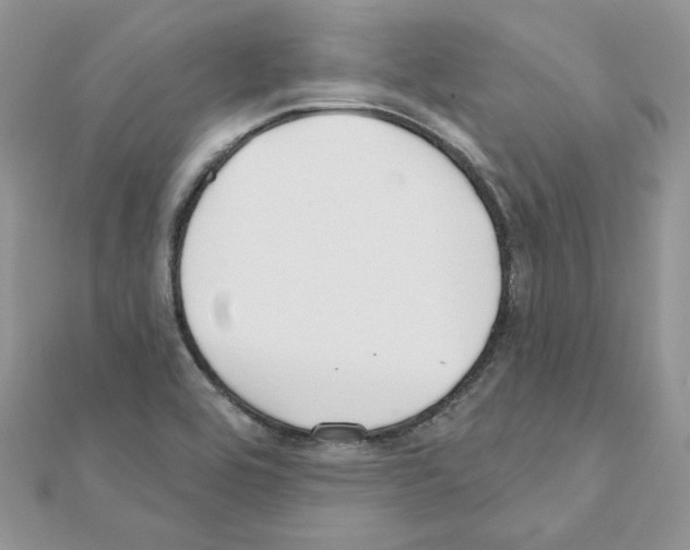 X0000110981464200907310940