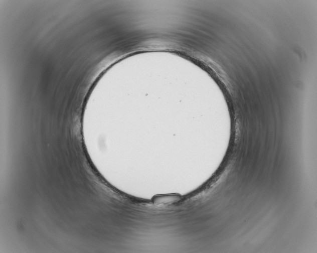 X0000110981465200907310940